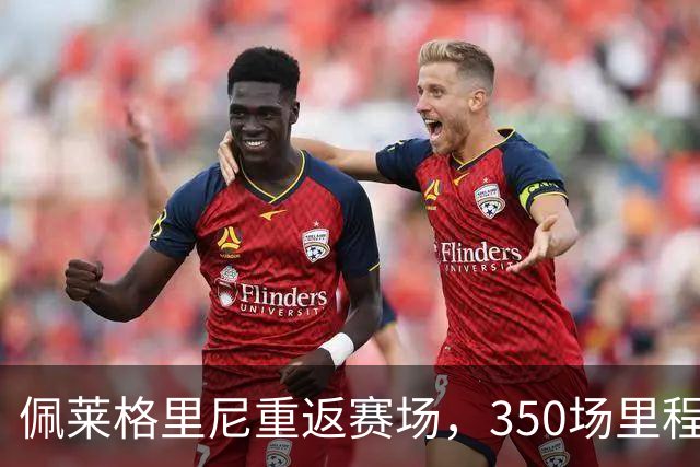 佩莱格里尼重返赛场，350场里程碑值得铭记